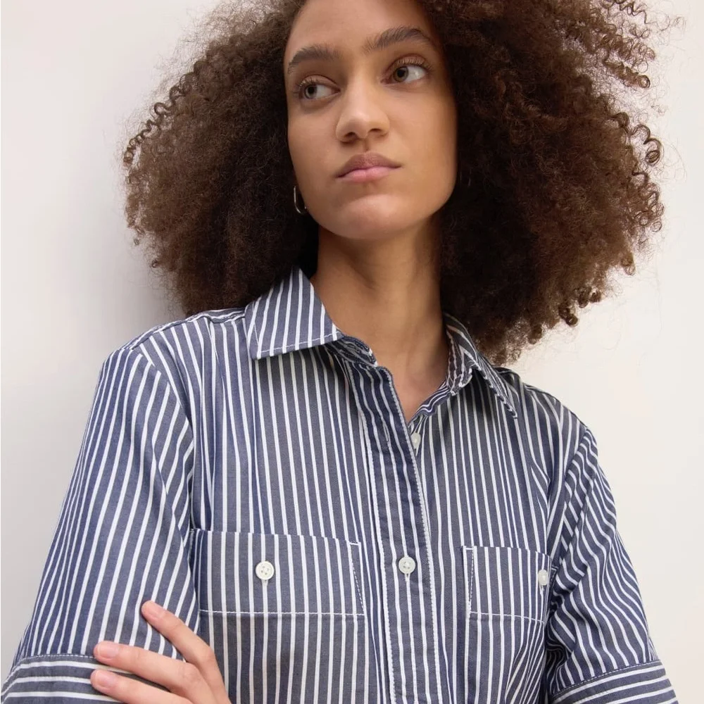 Everlane Daytripped Blue Pinstripe Button Up Shirt Dress - Picture 4 of 11
